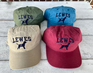 Lewes Sunset Dog Hat Blue