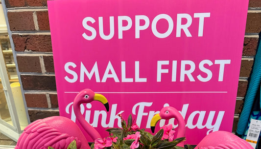 Blooming Boutique and Sister Stores Paint the Town Pink for a Week of Small Business Celebration