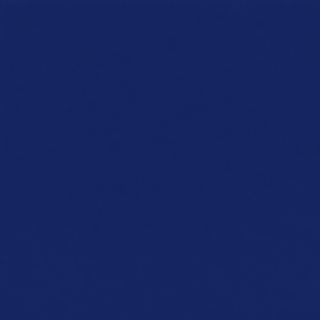 Lulu B Navy