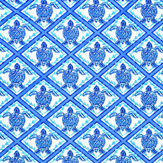Turtle Lattice