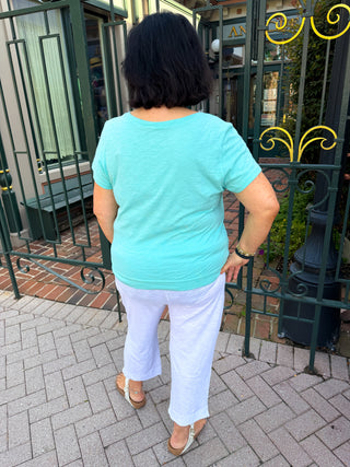 Escape by Habitat Mint Turtle V-neck Tee