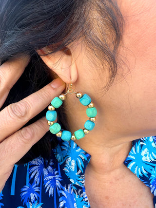 Turquoise Multi Earrings